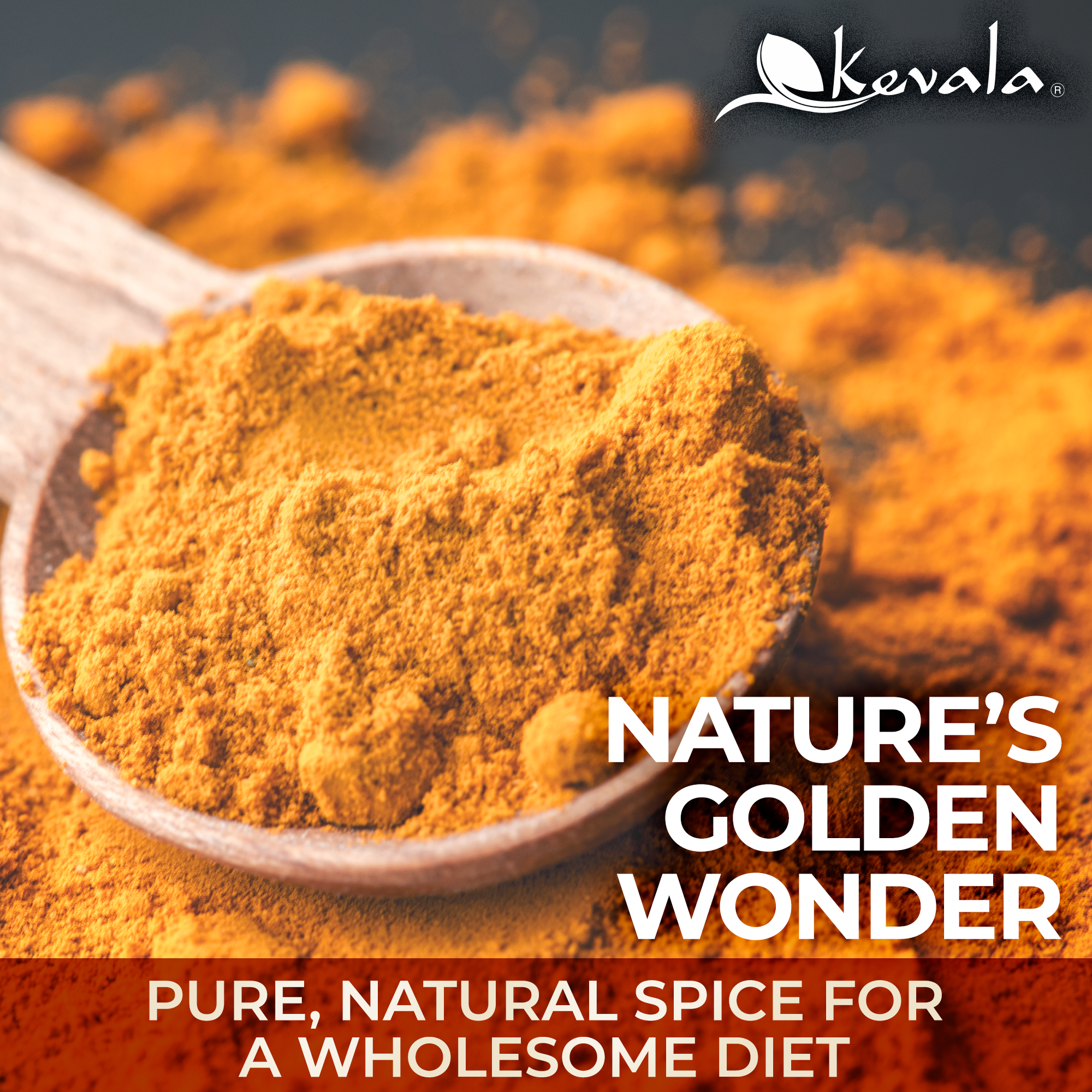 Organic Turmeric Powder 1 lb