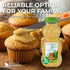 Raw Unfiltered Honey Bear 12 oz
