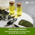 Organic Avocado Oil 17.5lb