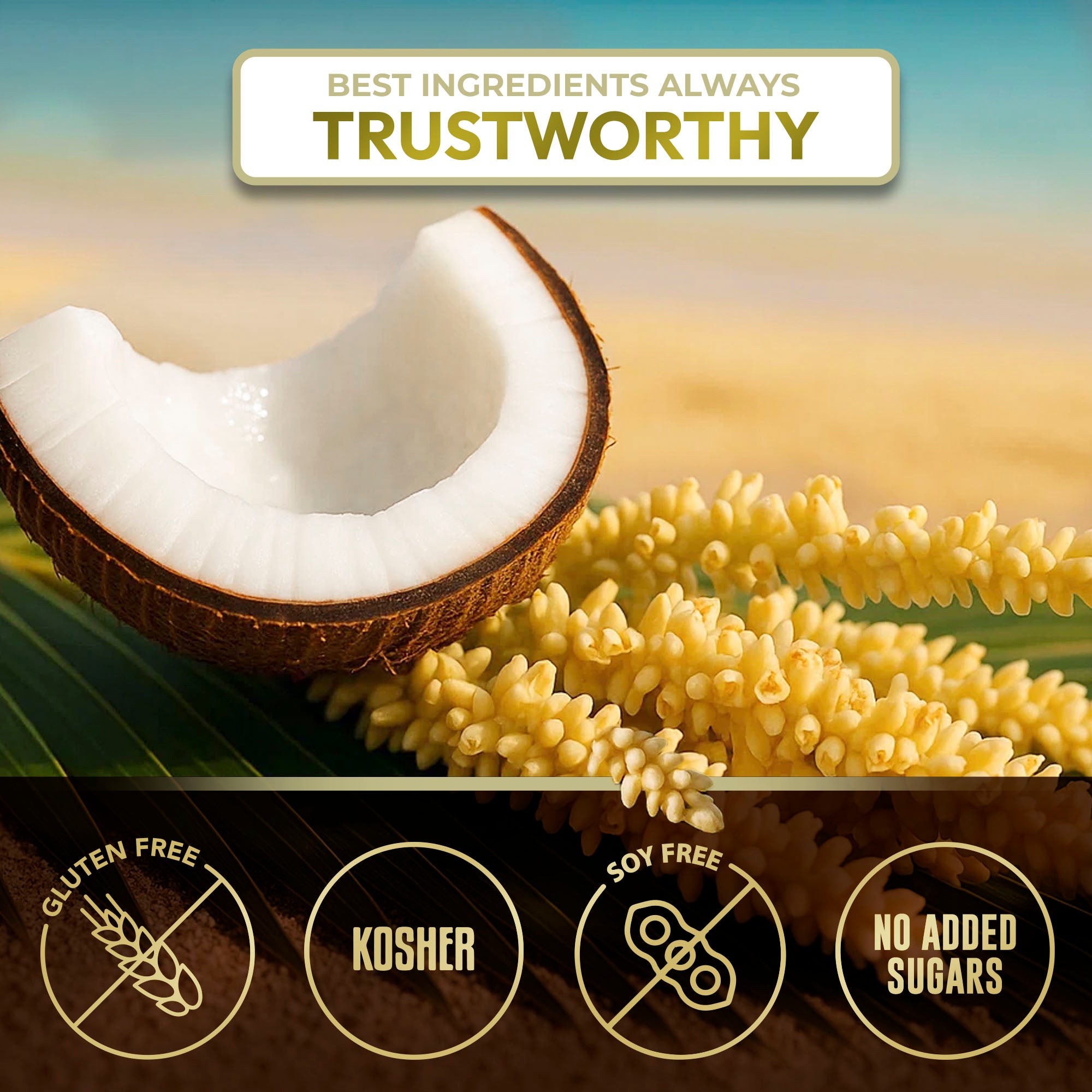 Coconut Aminos 24 lb