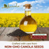 Canola Oil 128 fl oz (1 Gal)