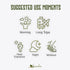 Hydrating Salts Prebiotic Electrolytes Watermelon 14 Sticks