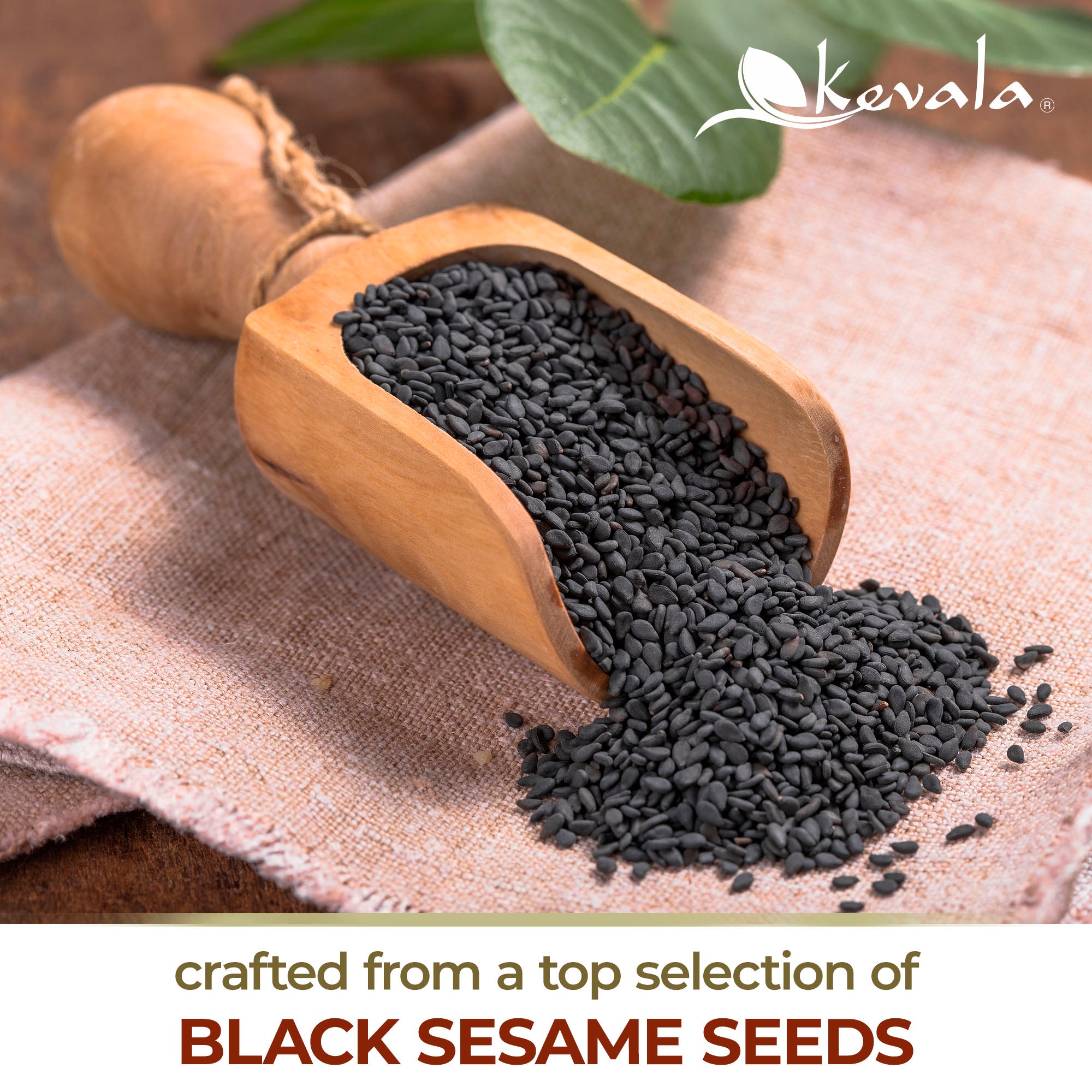 Organic Black Tahini 12 oz