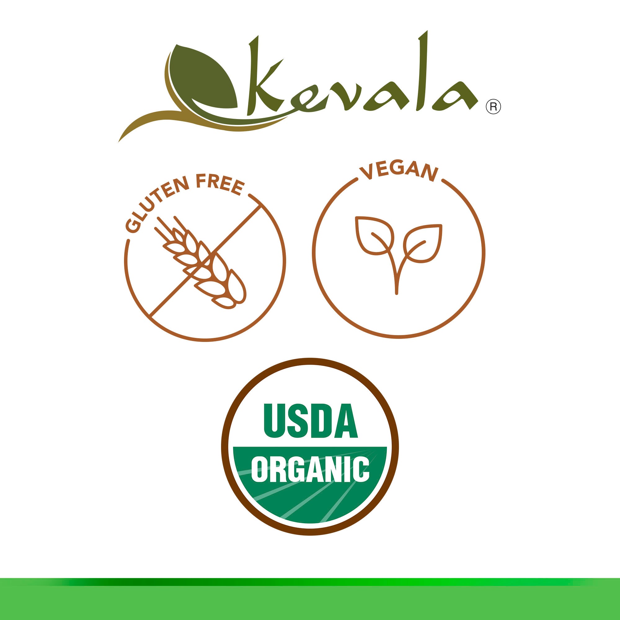 Organic Raw Cacao Beans 1 lb