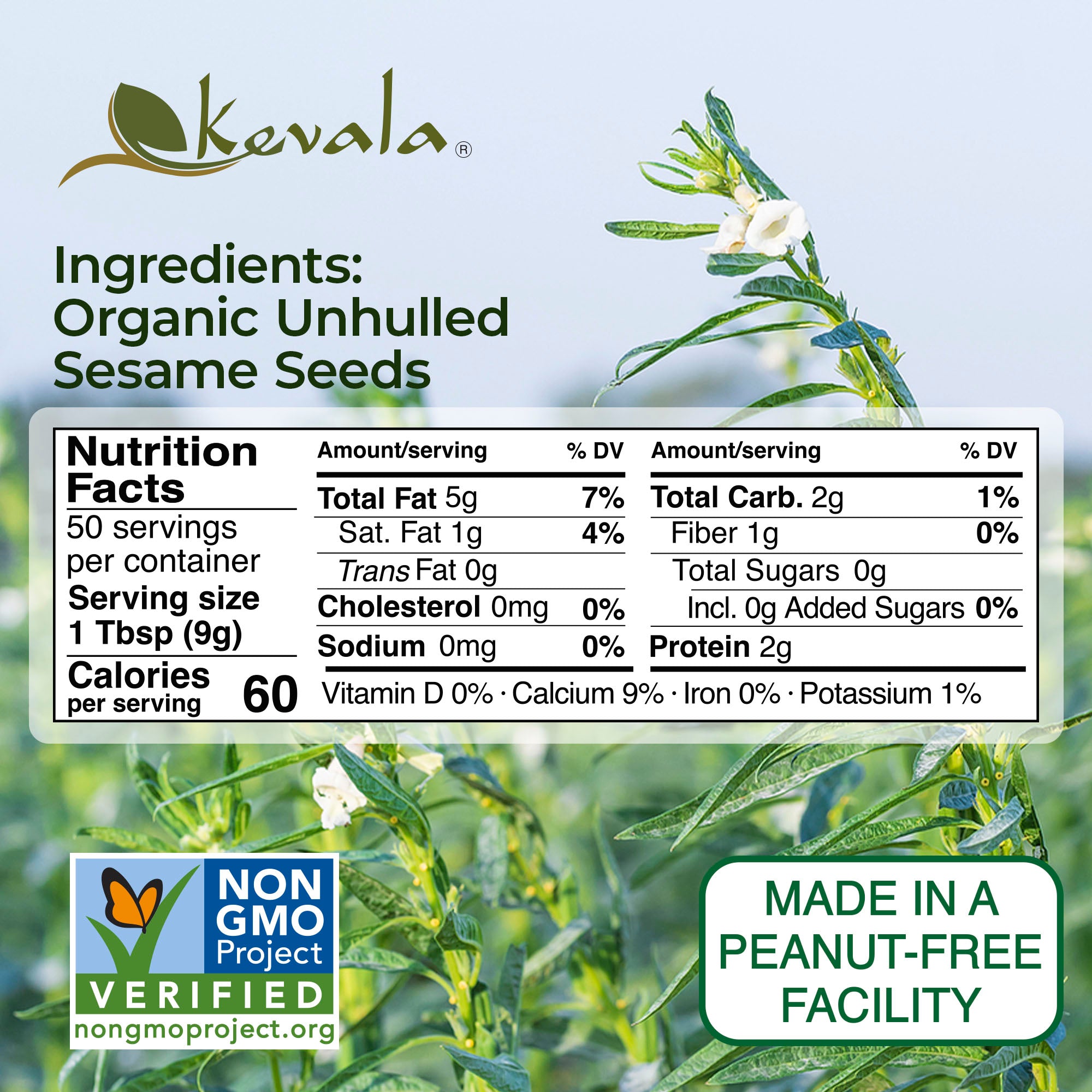 Organic Raw Sesame Seeds (Unhulled) 16 oz